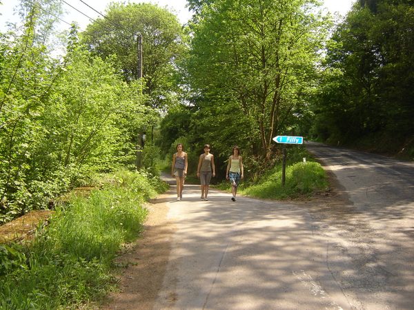 Un chemin de terre à travers la forêt.