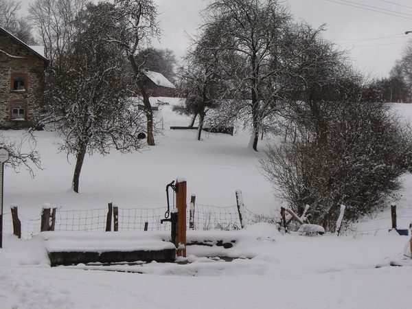 La ferme entre les arbres nus en hiver.