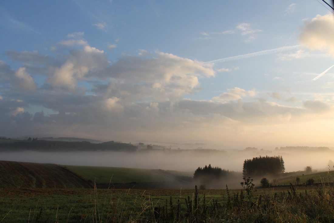 Brume matinale sur la prairie à côté de la maison.