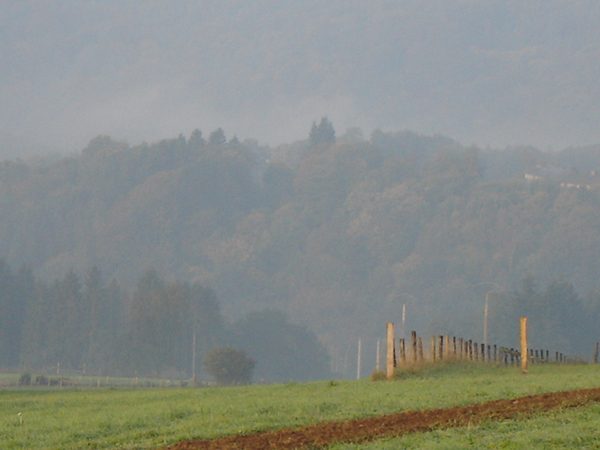 La brume entre les collines.