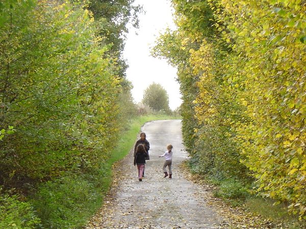 Deux promeneurs sur un chemin forestier en automne.
