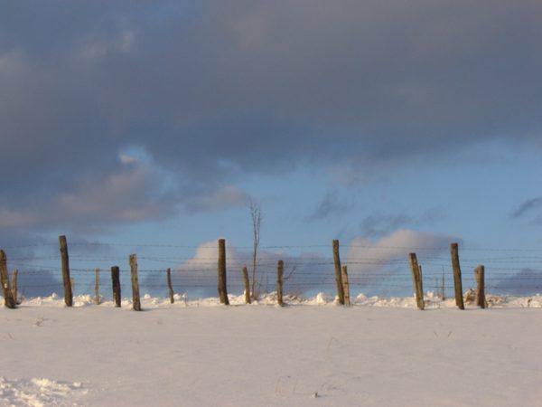 Les colonnes de pierre du monument sous un ciel d'hiver.